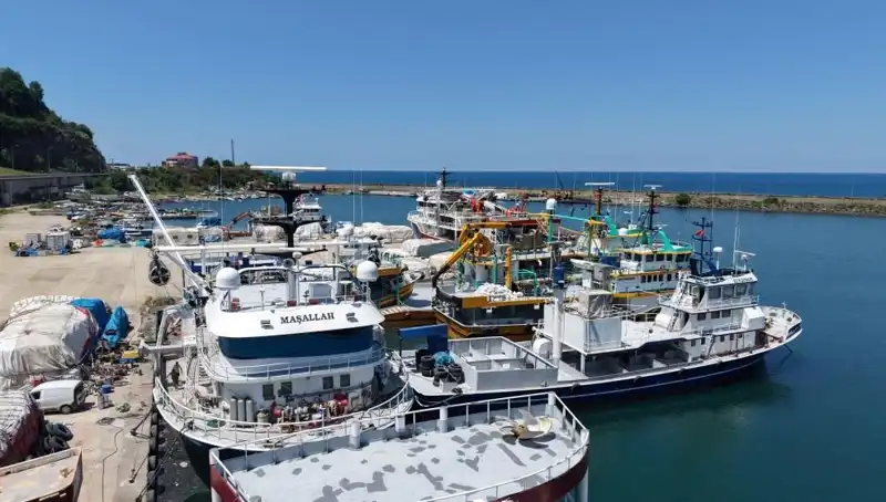 Karadeniz'de 1 Eylül Coşkusu: Neler Olacak ve Hedefler Nedir?