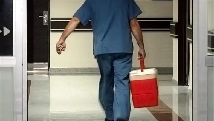 Organ Bağışında Devrim: Artık e-Devlet ve e-Nabız Üzerinden Mümkün!