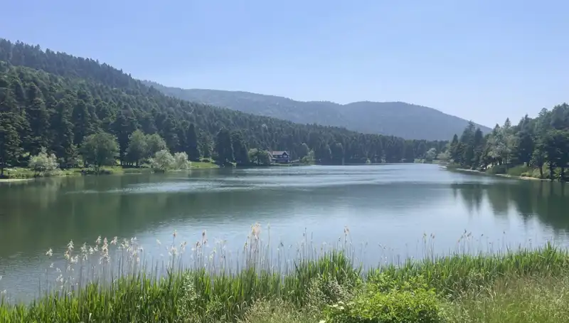 Bolu'nun Milli Parkları Bu Yaz Rekor Ziyaretçi Ağırladı!