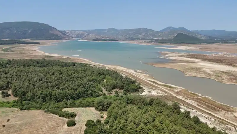 İzmir'de Tehlike Çanları: Geçen Yıl Üzerine Yüzde 50 Düşüş Nedenleri