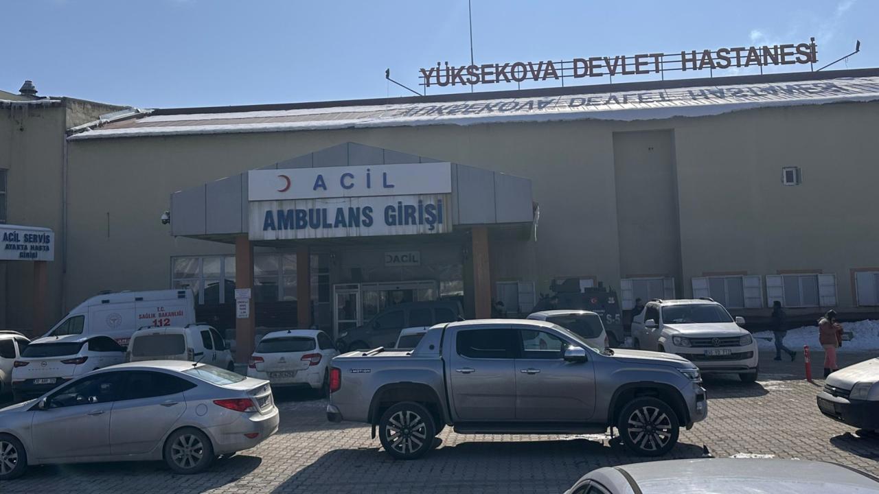Müfettiş Görevlendirildi: Başıboş Köpeklerin Saldırısıyla Ölen Çocuk Olayı İncelenecek